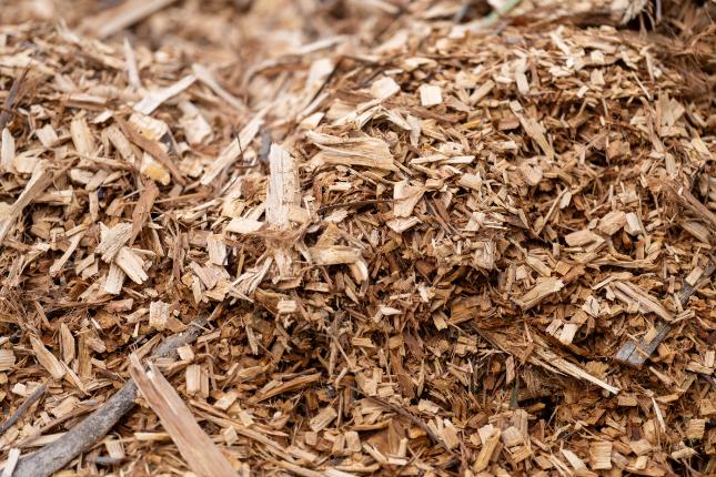 Wood Waste Recycling